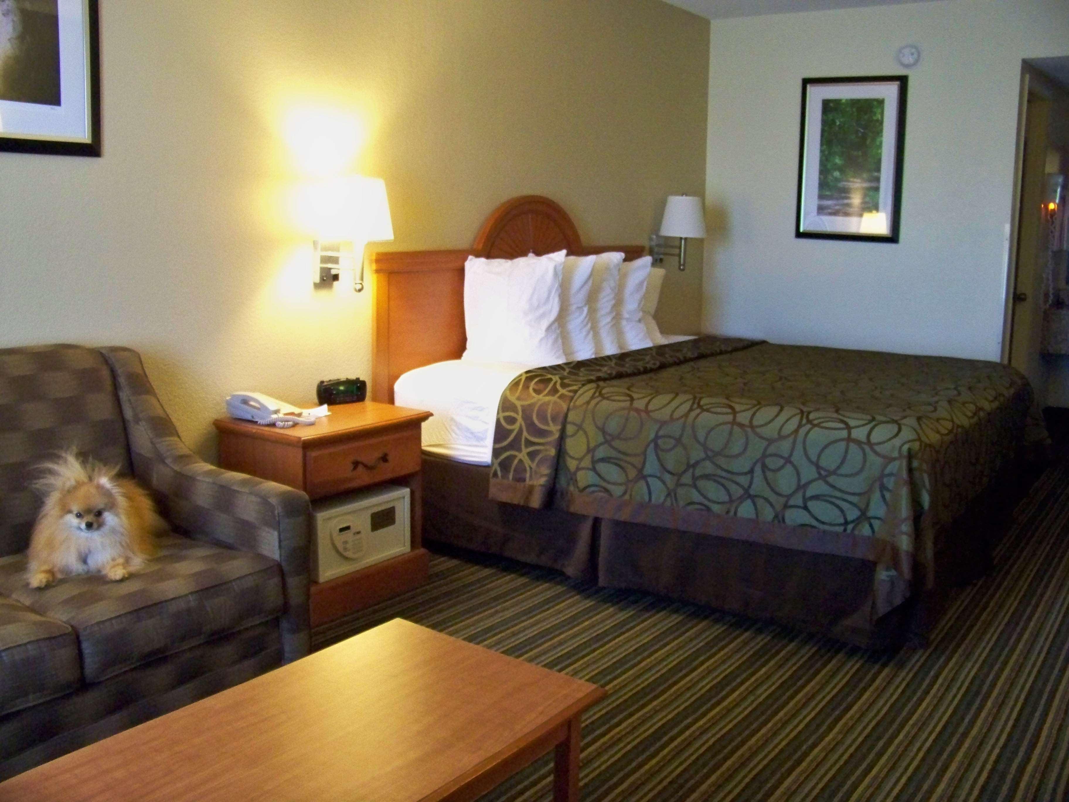 Best Western Of Murphy Bagian luar foto